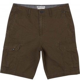 Bermudas Billabong Scheme Cargo 21''