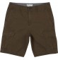 Bermudas Billabong Scheme Cargo 21''