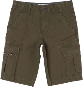 Bermudas Billabong Scheme Cargo Boy