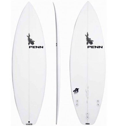 PENN Raven Surfboard 