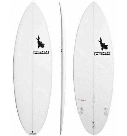 Surfbretter PENN Surfboard R-Wing