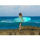 NSP fish Elements Surfboard 