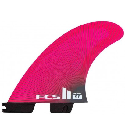 Fins FCSII Sally Fitzgibbons