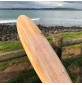 Planche de surf Firewire Greedy Beaver TimberTek