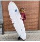 Surfboard evolutionaire MS Easy Pony