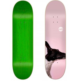 Skateboard Jart Window 8''