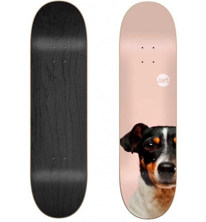 Skateboard Jart Friends 8,125″