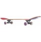 Skateboard Quiksilver Trips