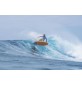 Surfboard Torq Funboard Pinline colour