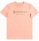 Camiseta quiksilver Silver Lining