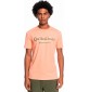 Camiseta quiksilver Silver Lining