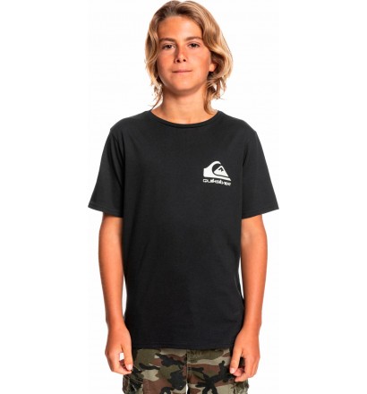 Camiseta quiksilver How Are You Feeling Junior