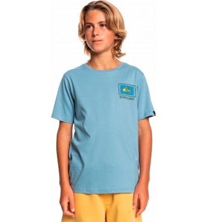 Camiseta Quiksilver Radical Roots Junior